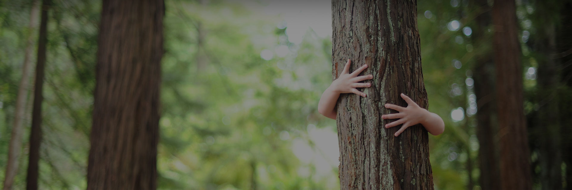 Avant l'abattage vient la préservation et la prévention